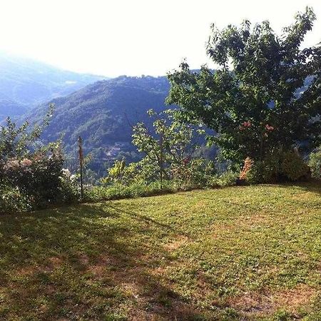 Ospitaci Appartamenti Di Campagna Le Rancole Valtopina ภายนอก รูปภาพ